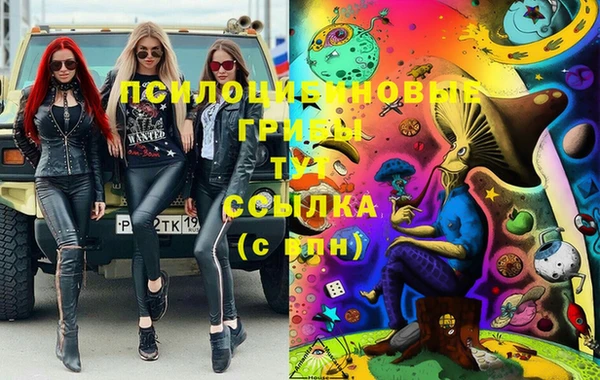 бутират Горняк